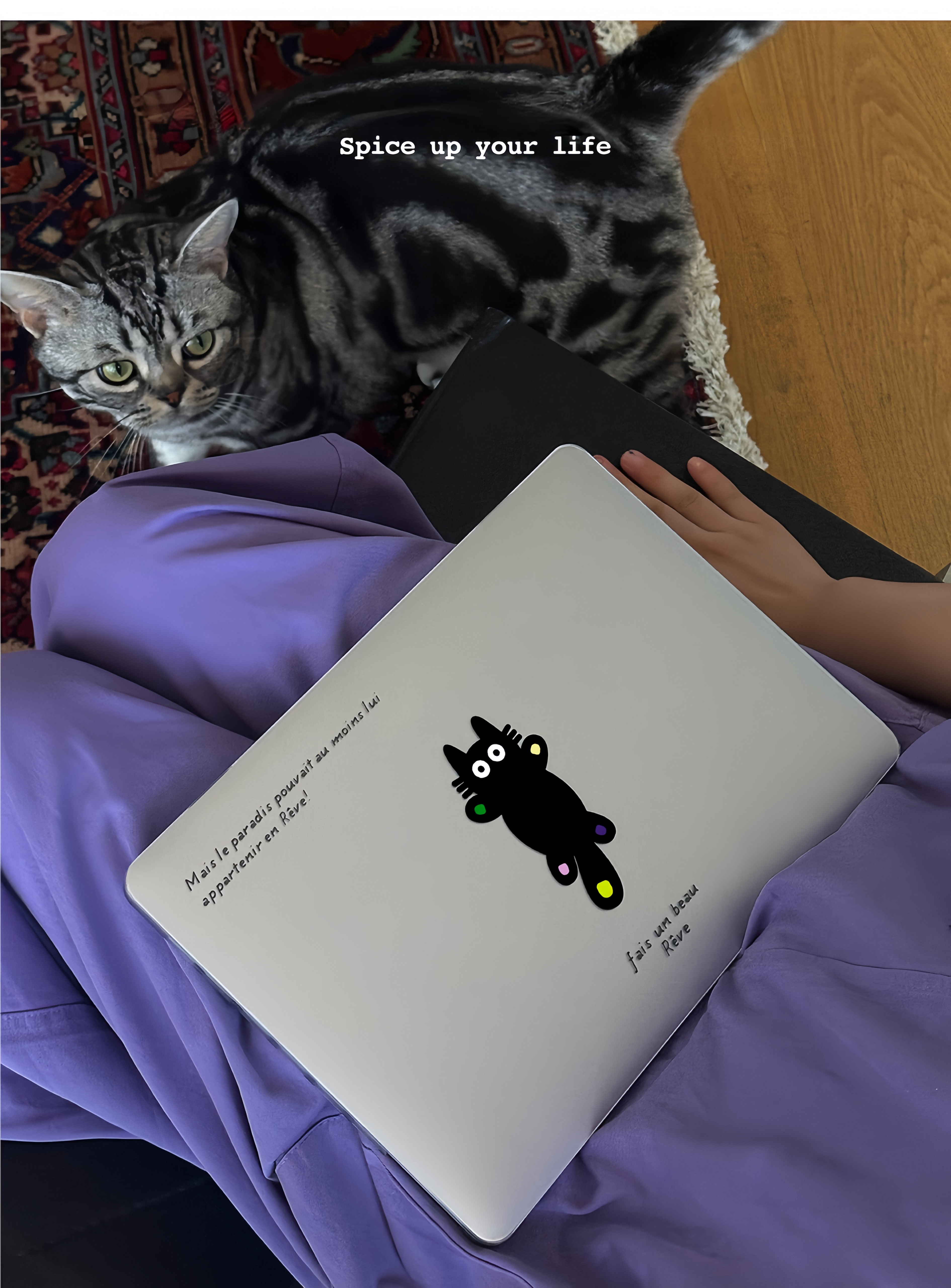 MacBook Hard Shell Case – “Cat” Design, Full-Cover Crystal Sand PC Shell
