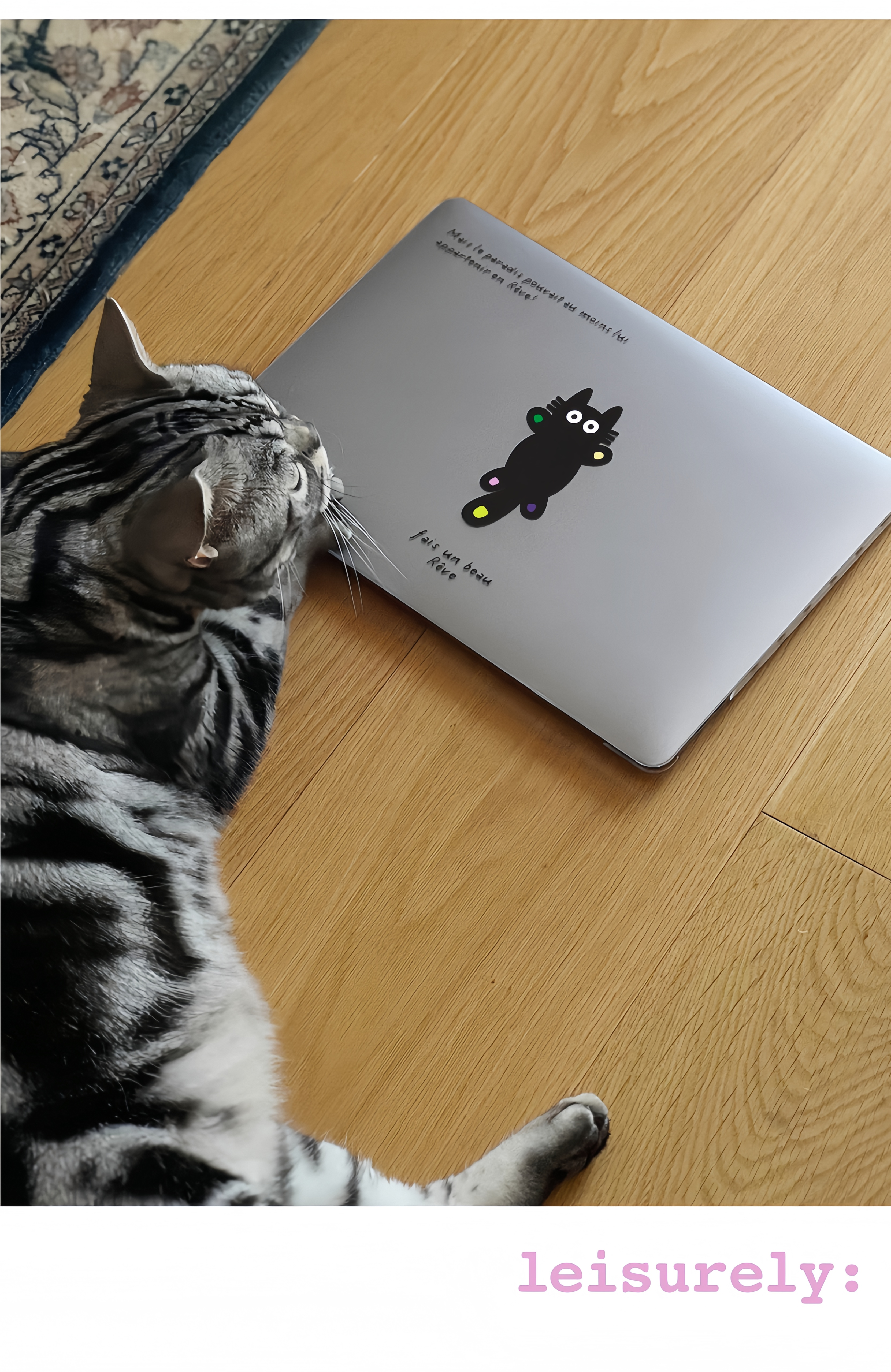 MacBook Hard Shell Case – “Cat” Design, Full-Cover Crystal Sand PC Shell